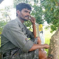 solomo-Freelancer in Chennai,India