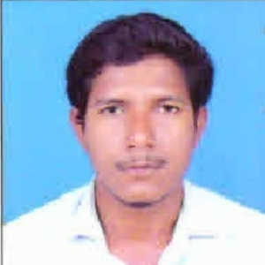 Ramesh Saroja-Freelancer in Ramagundam,India
