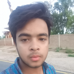 Ali Hamza-Freelancer in Bahawalpur,Pakistan