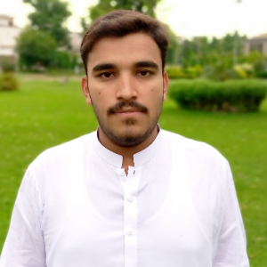 Syed Ahtisham Ul Hassan Shah-Freelancer in Faisalabad,Pakistan