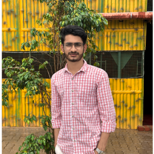Ammar Hanagikatti-Freelancer in Mangalore,India