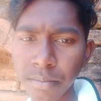 Pradeep Kumar-Freelancer in Tikamgarh,India