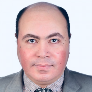 Ahmed Abdallah Arafat Alsayed-Freelancer in Cairo,Egypt
