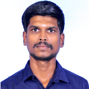 Hemanathan-Freelancer in Morasapalli,India