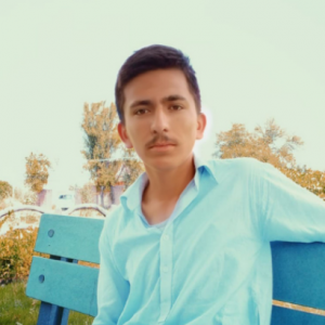Ahmed Hassan-Freelancer in minawali,Pakistan