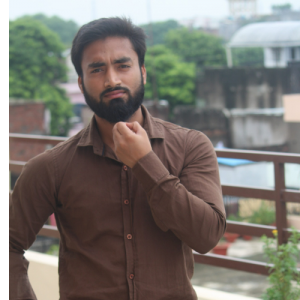 Sadiq Ali-Freelancer in Ghaziabad,India