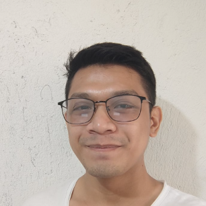 Gabriel T Deiparine-Freelancer in QUEZON CITY,Philippines