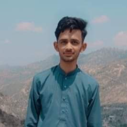 Asad Ali-Freelancer in Bhimber,Pakistan