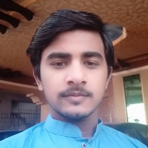 Syed Jarrar Haider Kazmi-Freelancer in Islamabad,Pakistan