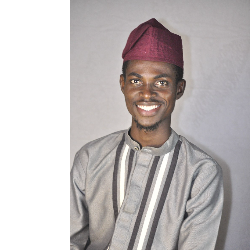 Alayande Mustapha-Freelancer in Lagos,Nigeria