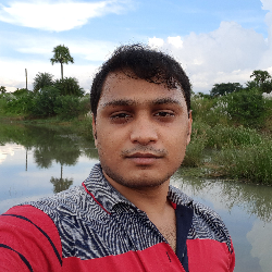 Aritra Pal-Freelancer in Kolkata,India