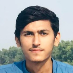 Muhammad Hassan-Freelancer in Gujrat,Pakistan