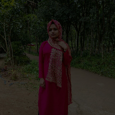 Shahna Vt-Freelancer in Malappuram,India