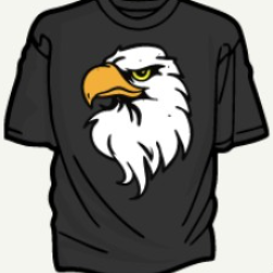 Muhammad Saif-Freelancer in ,Pakistan