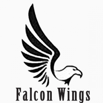 Falcon Wings-Freelancer in ,Egypt