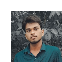 Ashutosh Kumar-Freelancer in Allahabad,India