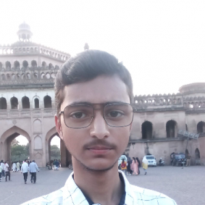 Haider Askari-Freelancer in Lucknow,India