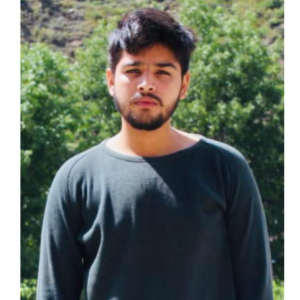 Muhammad Awais Zafar-Freelancer in Gujrat,Pakistan