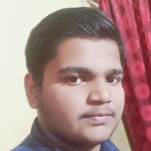 Ankit kumar-Freelancer in Saharsa (Bihar),India