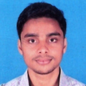 Bikash Pattnaik-Freelancer in Bhubaneshwar,India
