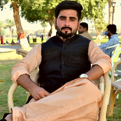 Naveed Sial-Freelancer in bahawalpur pakistan,Pakistan