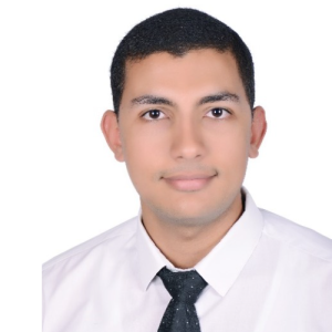 Abdelrahman Hibeshy-Freelancer in ,Egypt