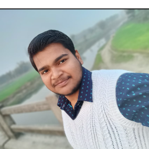 Ankit Kumar-Freelancer in Patna,India