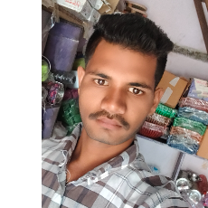 Shilesh Kumar-Freelancer in Danta,India