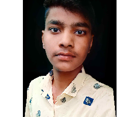 Rathore Boy-Freelancer in Khujner,India