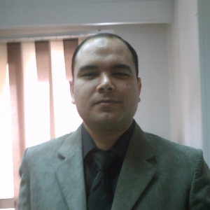 Wael Elsaid-Freelancer in ElMehalla ElKobra,Egypt