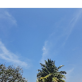 Komal Kurhe-Freelancer in Ahemdnagar,India