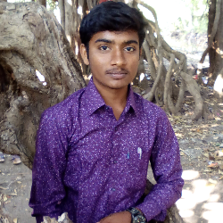 Sanjay-Freelancer in Bhavnagar,India