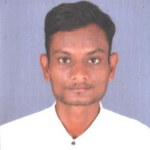 Nikhilkumar Prajapati-Freelancer in DHRANGADHRA,India