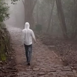 Sarfarash Sajjad M-Freelancer in kerala,India