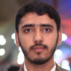 Ali Zain-Freelancer in Multan,Pakistan