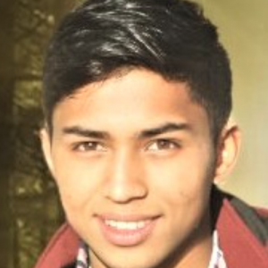 Pravindra Singh Rana-Freelancer in Meerut,India