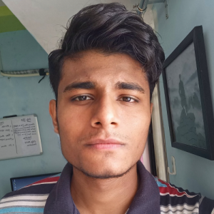 Mahesh Maheshwary-Freelancer in Rajkot,India