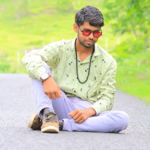 Ashish Ajnotiya-Freelancer in ashta,India