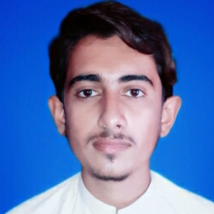 Jam Hamza-Freelancer in Rahim yar Khan,Pakistan