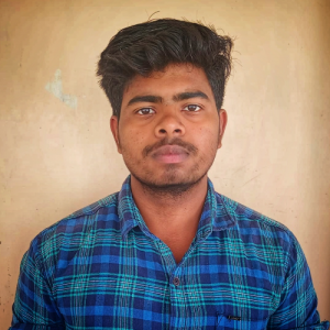Ravin G-Freelancer in Salem,India
