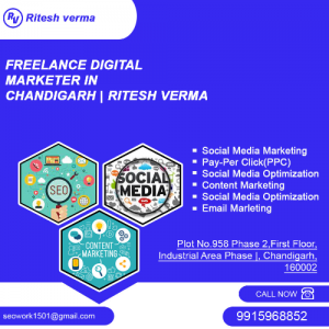 Digital Marketing-Freelancer in chandigarh,India