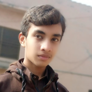 Ahmad Raza-Freelancer in Sargodha,Pakistan