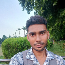 Alex,Farman Khan-Freelancer in Aligarh Division,India