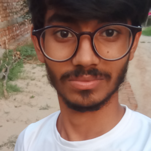 Ishu Kumar-Freelancer in Sirsa,India