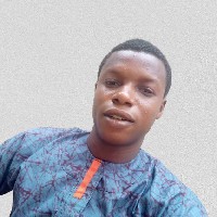 Emmanuel Sunday Josiah-Freelancer in Ife North,Nigeria