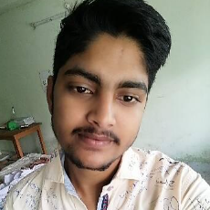 Rahul Kumar-Freelancer in Patna,India