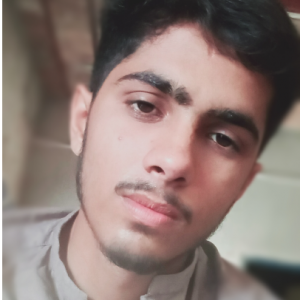 Kaleem Ullah-Freelancer in Layyah,Pakistan