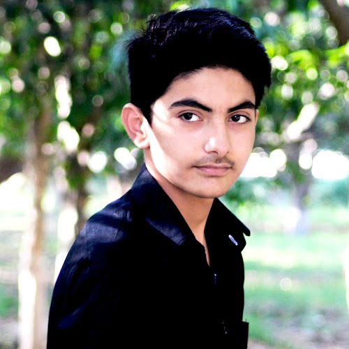 Basit Khan-Freelancer in ,Pakistan