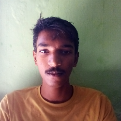 N Srinidhi-Freelancer in Banglore,India