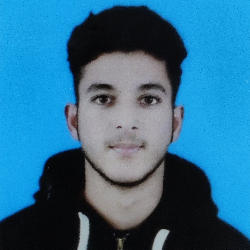 Mubashir Mushtaq-Freelancer in Srinagar,India